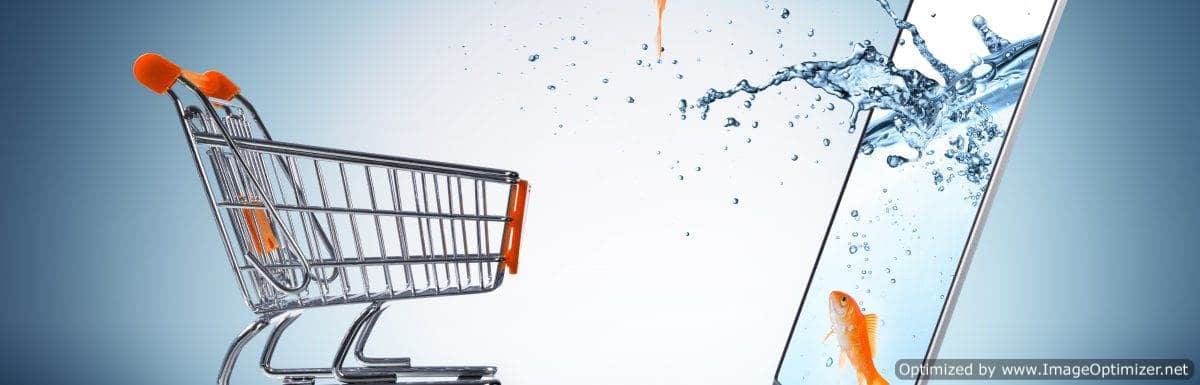 New Report Shows US E-Commerce Growing Rapidly